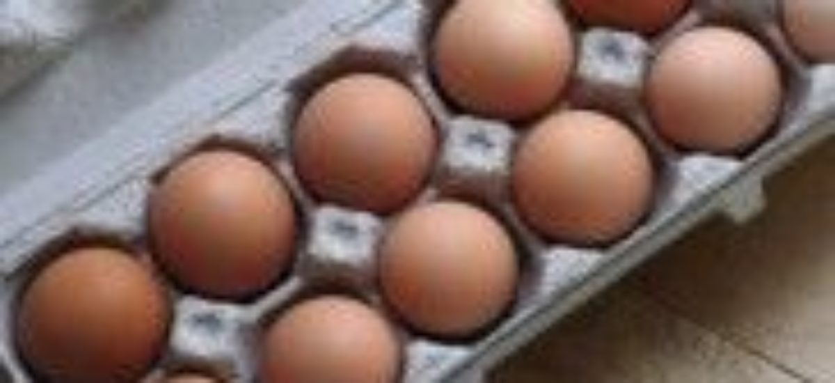 img_docena-huevos-listp Img docena huevos listp