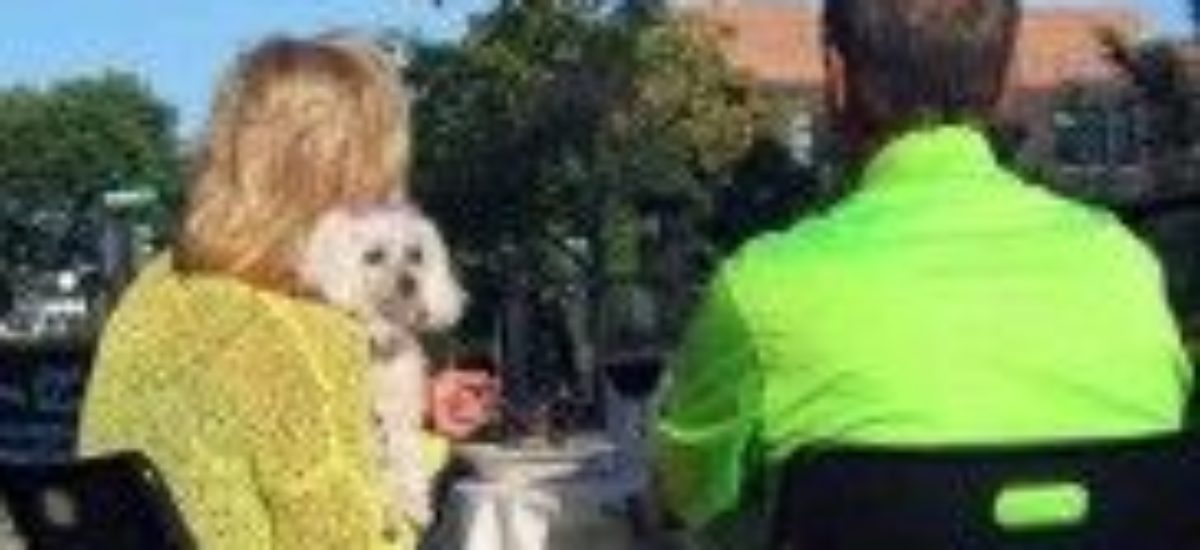 Img restaurantes perros admiten perros tapas madrid barcelona coruna bares mascotas animales listado