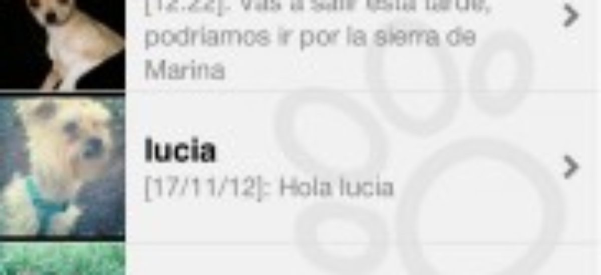 Img perros quedadas internet planes mascotas viajar animales redes sociales listado