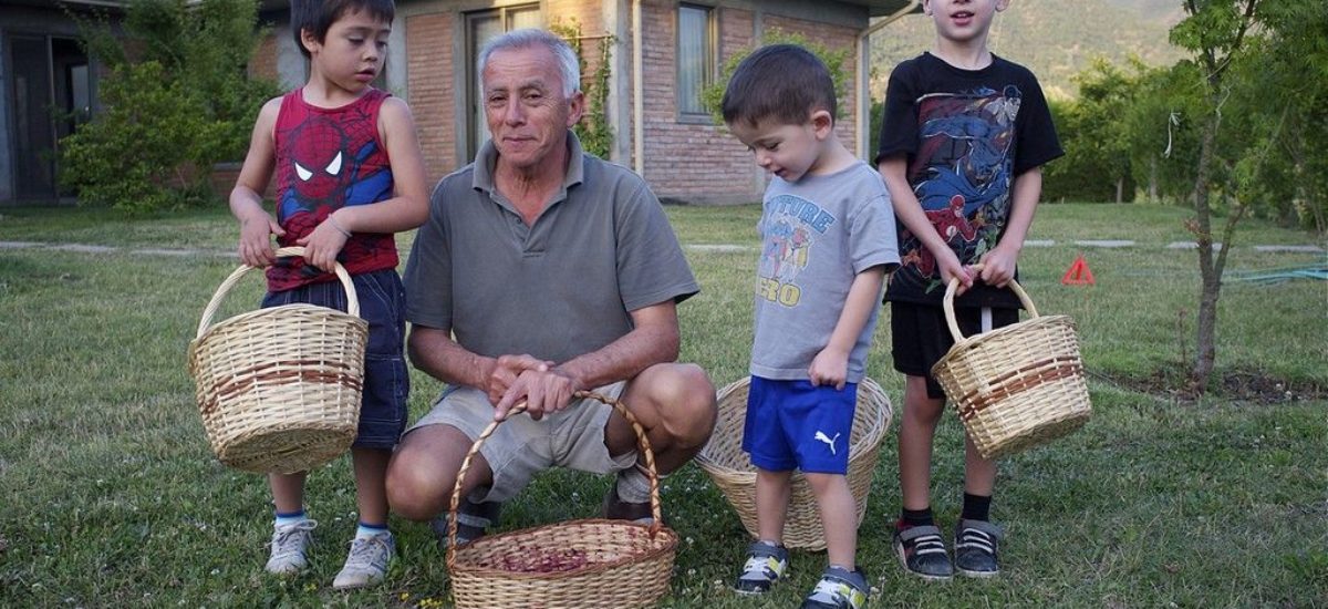 Img abuelos