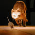 Img gatos gatones miedo enemigos ciencia huyen proteinas ciencia curiosidades animales mascotas