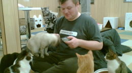 Img gatoteca cafes para gatos cat cafe madrid amigos de gatos locales