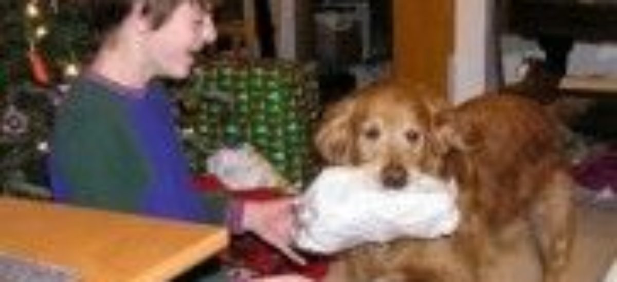 Img perros ninos problemas conducta ladran visitas navidad listado