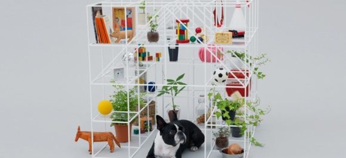 Img casetas perros fujimoto