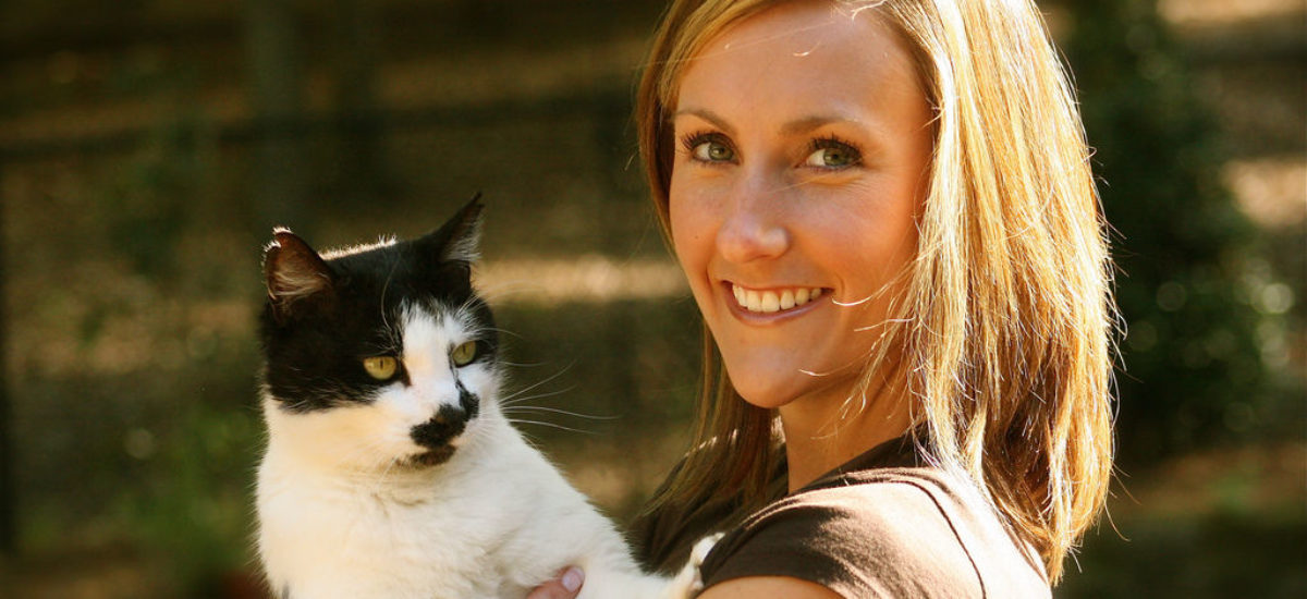 Img gatos gatas esterilizadas esterilizar mascotas ventajas salud cancer embarazos animales