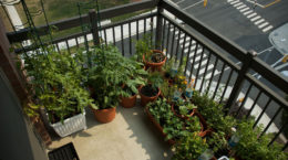 Img jardin balcon