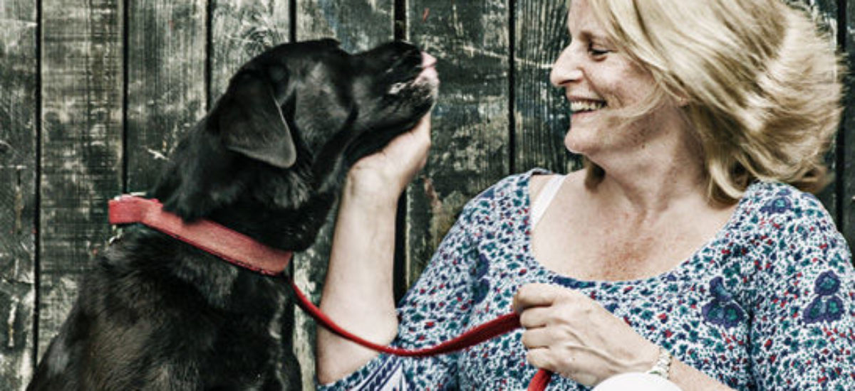 img_alimentos-perros-enfermos-corazon Img alimentos perros enfermos corazon