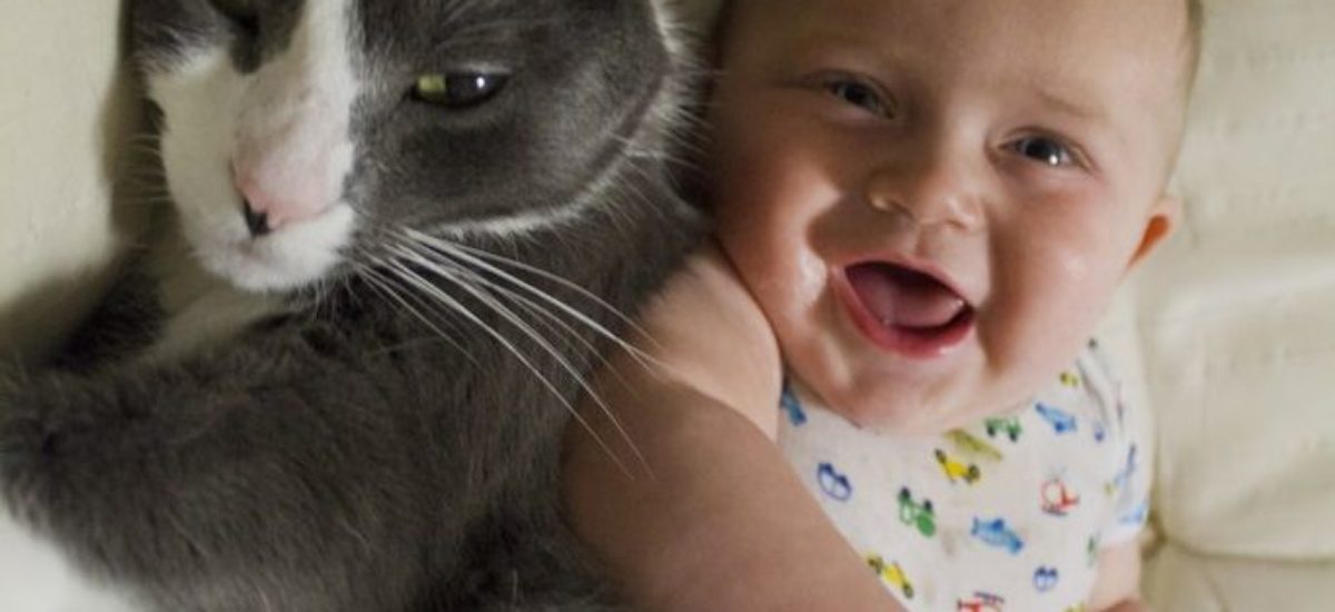 Cómo gatos y perros mejoran la salud de los bebés | Consumer