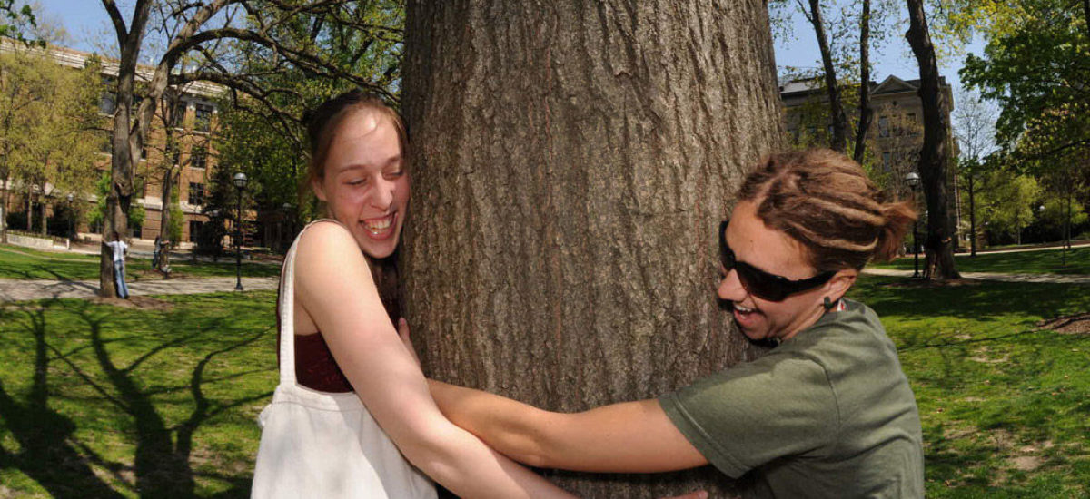 Img ong ambientales hd