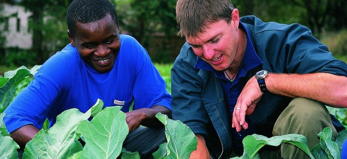 img_voluntarios.hd_ Img voluntarios hd