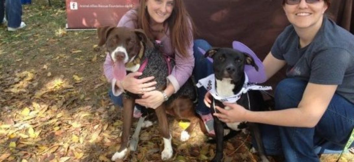 Img bancos alimentos mascotas listg