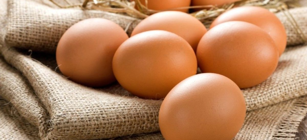 Img huevos salmonella hd