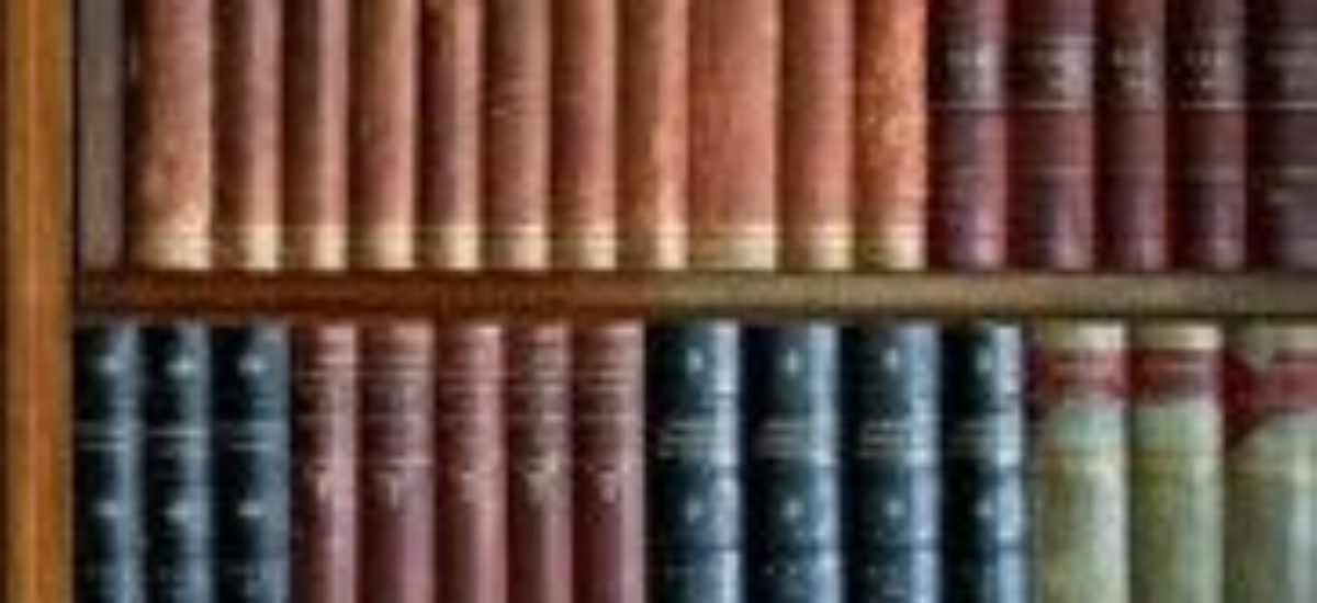 Img libros piellistado