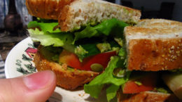 Img sandwich vegetal gr