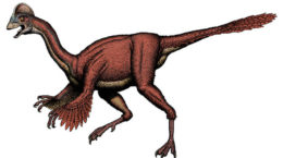 Img dinosaurio pollo hd