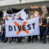 Img divestment hd