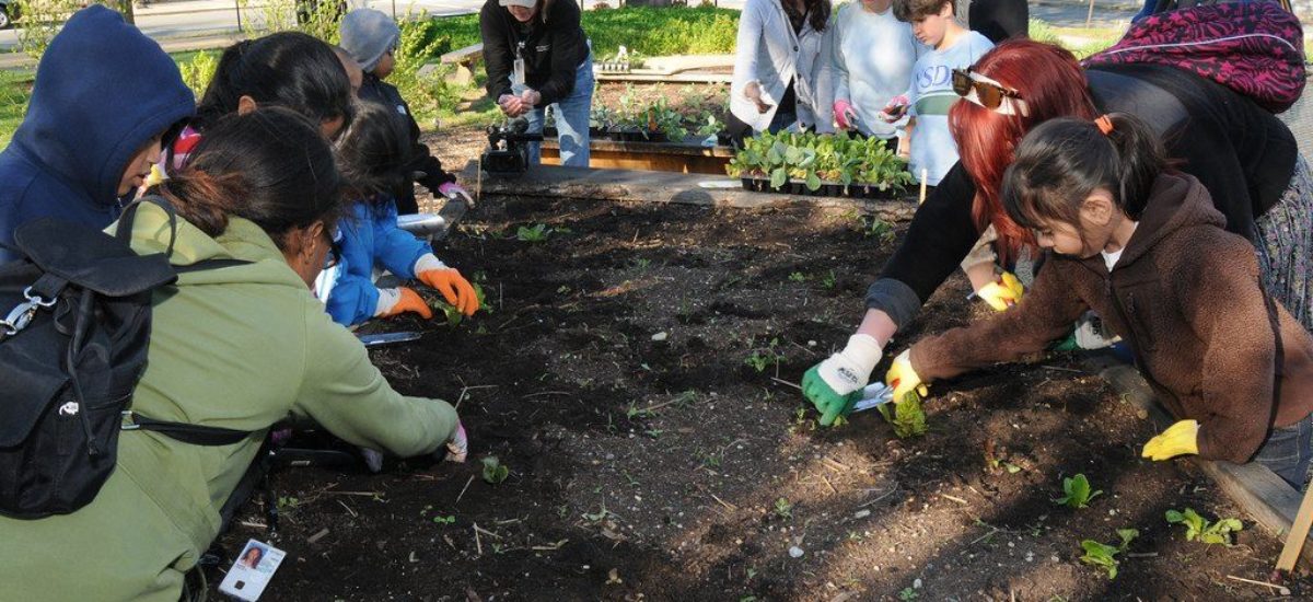 Img voluntariado hd