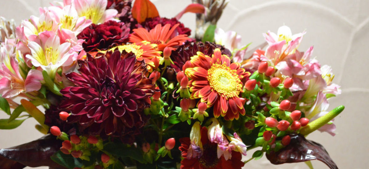 img_flores Img flores