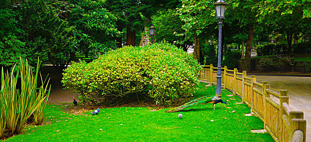 Img parques sanfrancisco hd