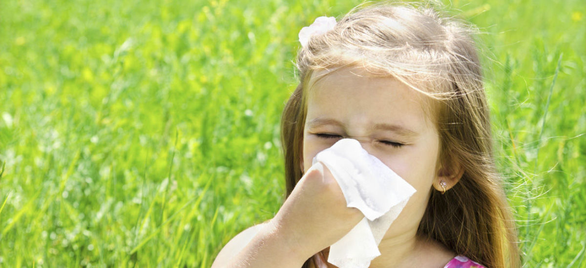 Img prevenir alergias bb hd