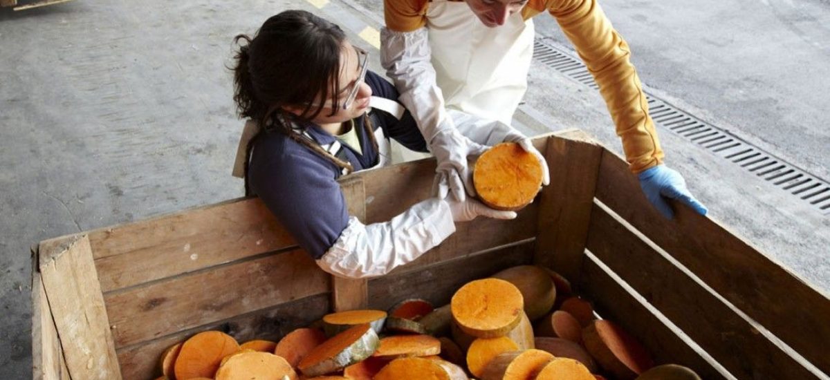 Img residuosfrutas hd