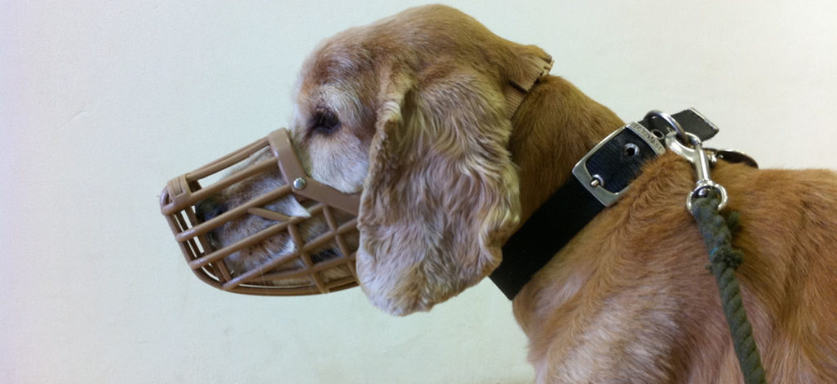 Img 69417140079b6f0e5c9bb