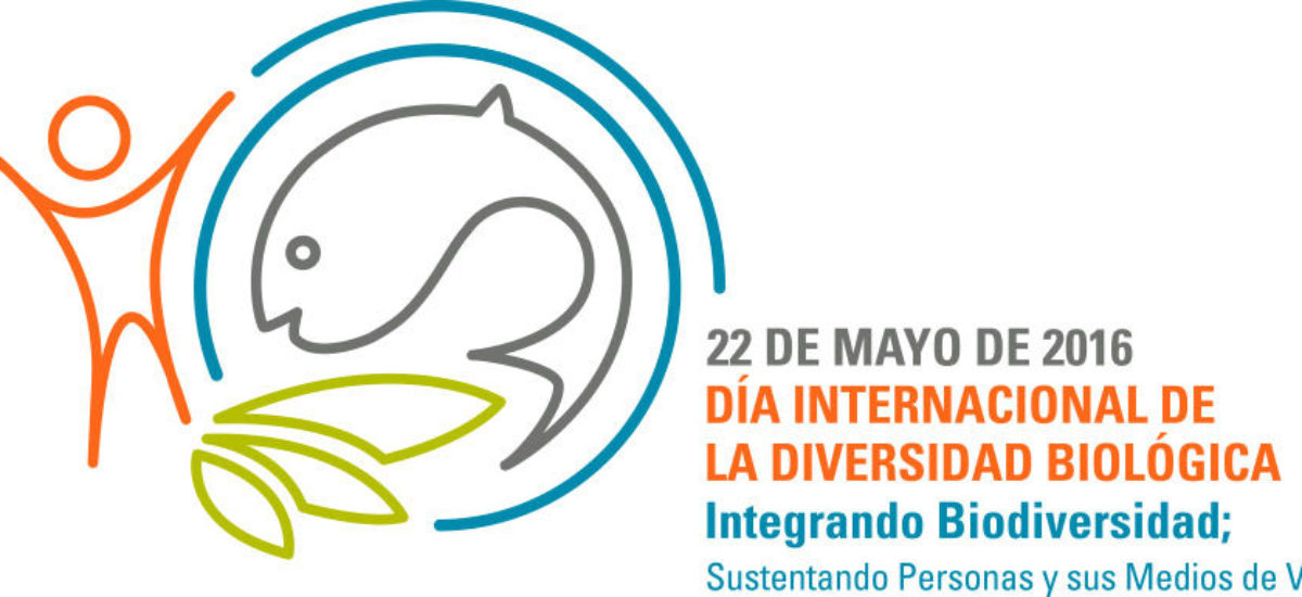 Img dia biodiversidad2016 hd