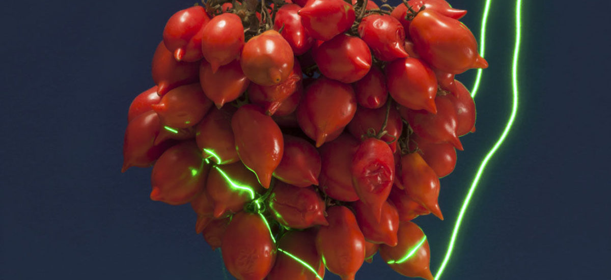 img_nevera-laser-bacterias-hd Img nevera laser bacterias hd