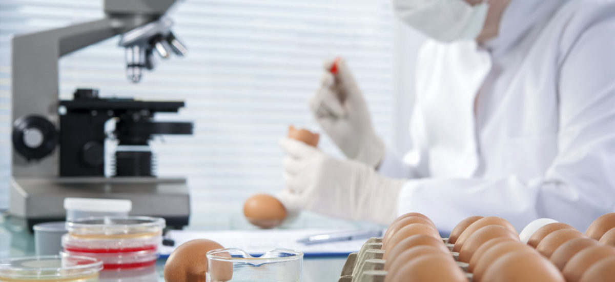 img_factores-contaminan-alimentos-hd Img factores contaminan alimentos hd