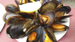 Img mejillones mal estado hd