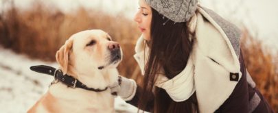 Img perros pasear invierno nieve