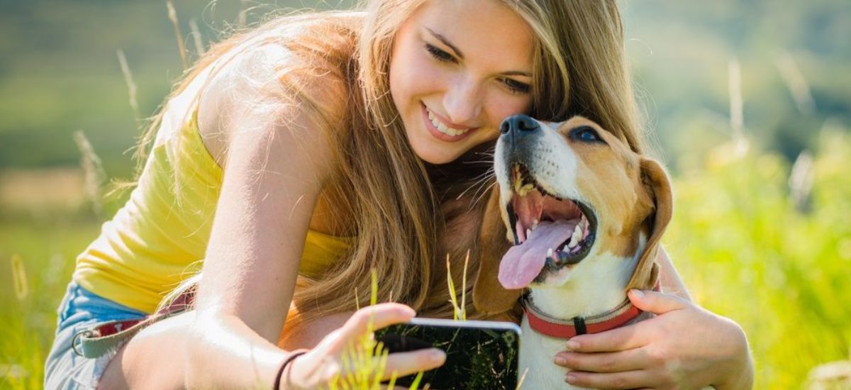 Img perros telefono aplicaciones fotografia