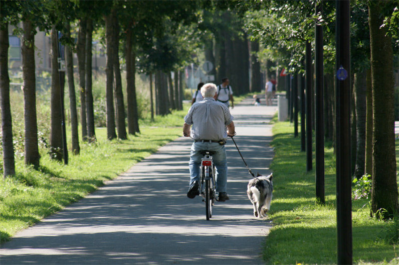 Img abuelo bici