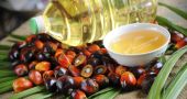 Img aceite palma salud hd