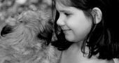 Img autismo infantil perros ninos animales terapia perros asistencia