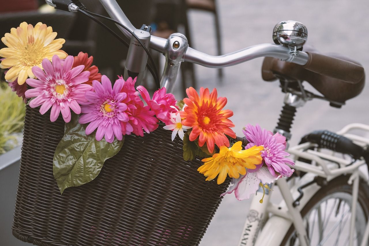 Img bicicleta flores hd