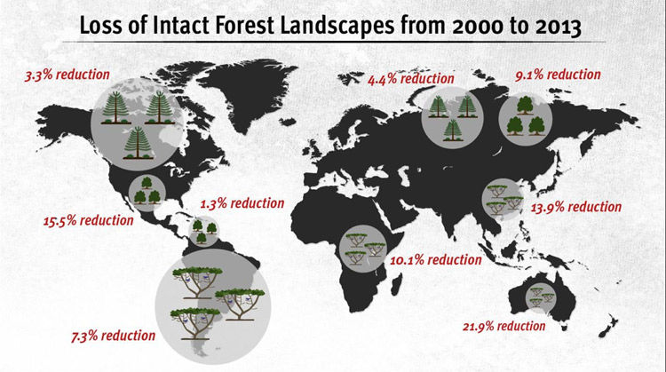 Mapa pérdida de paisajes forestales intactos 2000 a 2013
