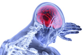 Img brain 31682691280