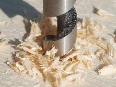 Img broca madera art