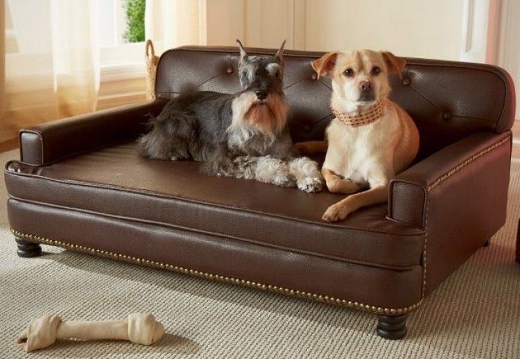 Señor vida Destino 6 camas para perros hechas en casa ¡gratis! | Consumer