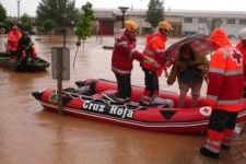 Img cruzroja2 articulo
