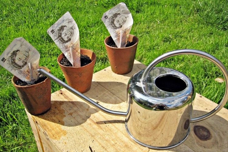 Img dinero crece grande