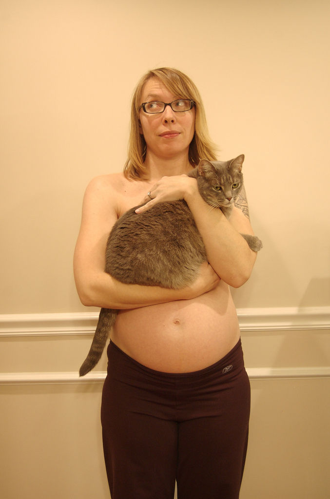 Img embarazos gatos