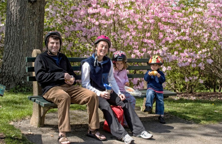 Img familia navidades