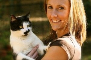 Img gatos gatas esterilizadas esterilizar mascotas ventajas salud cancer embarazos animales cachorros art