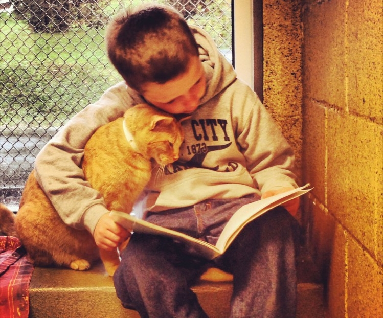 Img gatos ninos beneficios leer