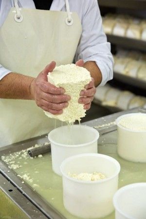 Img lactosueroqueseria