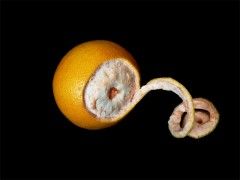 Piel1 bereizmen laranja
