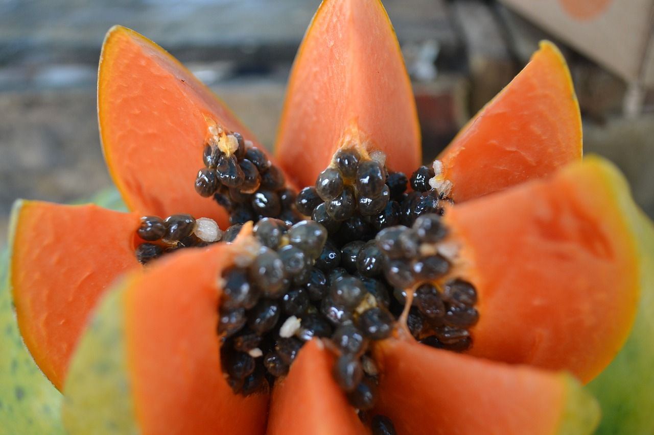 Img papaya frutas tropicales hd