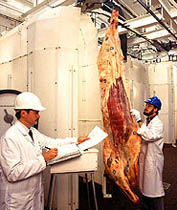 Img patogenocarne